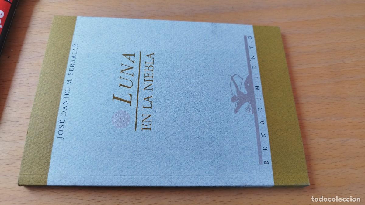 Libros de segunda mano: LUNA EN LA NIEBLA / JOSE DANIEL M.SERRALLE / KARA 13-14 / RENACIMIENTO
