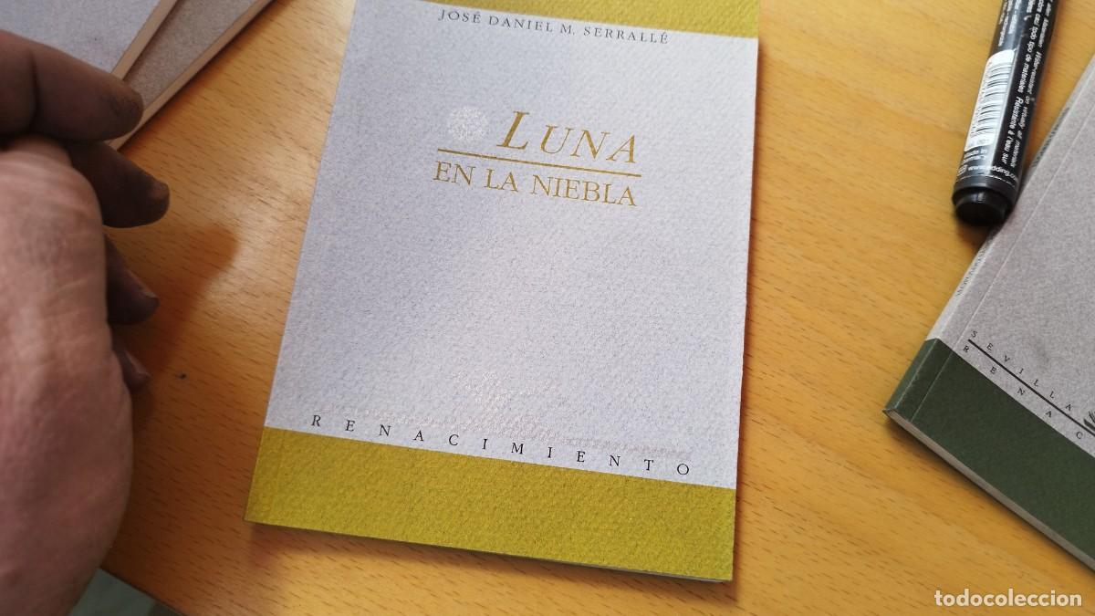 Libros de segunda mano: LUNA EN LA NIEBLA / JOSE DANIEL M.SERRALLE / KARA 13-14 / RENACIMIENTO