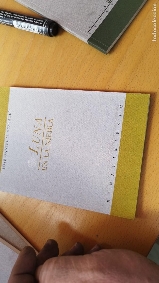 Libros de segunda mano: LUNA EN LA NIEBLA / JOSE DANIEL M.SERRALLE / KARA 13-14 / RENACIMIENTO