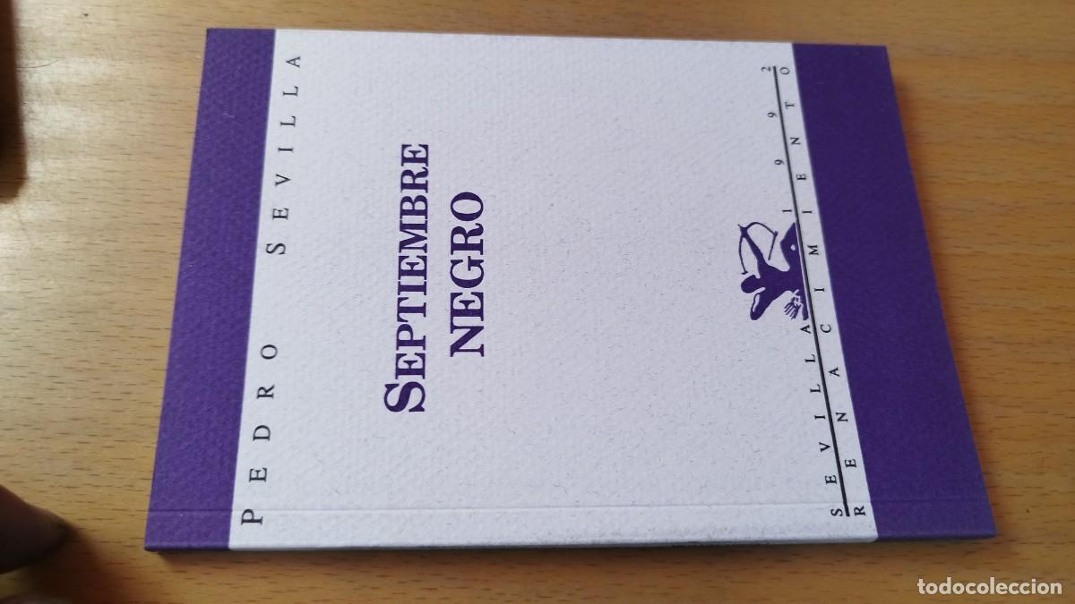 Libros de segunda mano: SEPTIEMBRE NEGRO / PEDRO SEVILLA / KARA 13-14 / RENACIMIENTO