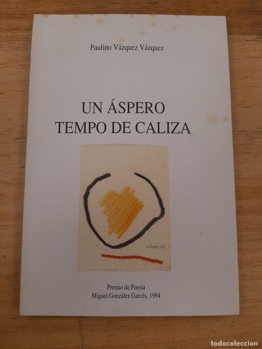 Libros de segunda mano: Un &aacute;spero tempo de caliza - Paulino V&aacute;zquez V&aacute;zquez - Deputaci&oacute;n da Coru&ntilde;a, 1994