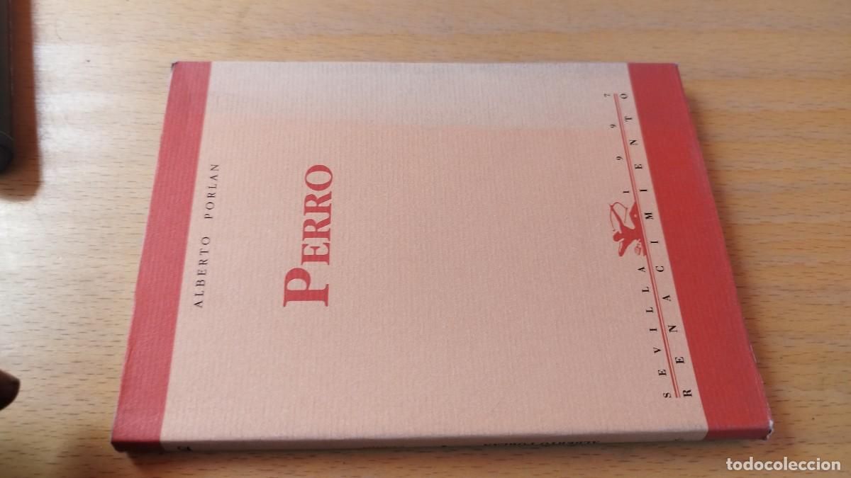 Libros de segunda mano: PERRO / ALBERTO PORLAN / KARA 13-14 / RENACIMIENTO
