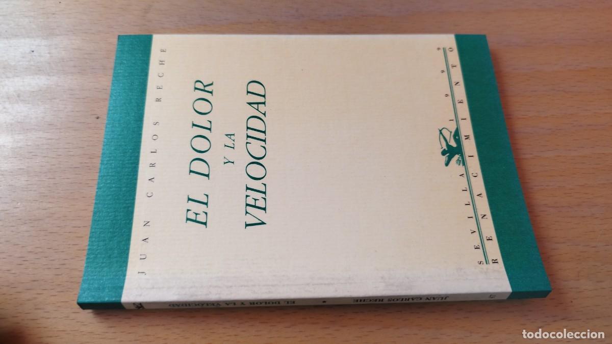 Libros de segunda mano: EL DOLOR Y LA VELOCIDAD / JUAN CARLOS RECHE / KARA 13-14 / RENACIMIENTO