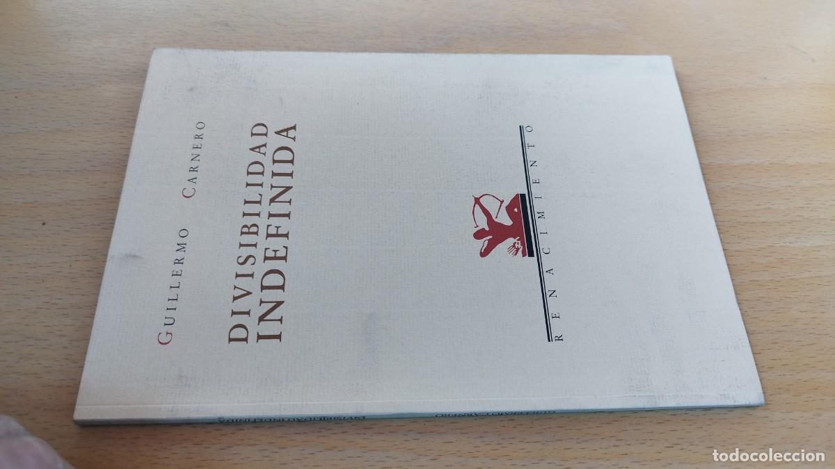 Libros de segunda mano: DIVISIBILIDAD INDEFINIDA / GUILLERMO CARNERO / KARA 73 / RENACIMIENTO