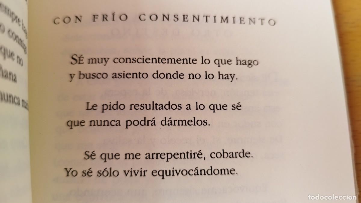 Libros de segunda mano: FEU DE ERRATAS / ABEL FEU / KARA 73 / RENACIMIENTO - Foto 10