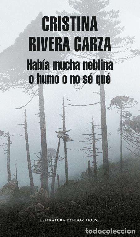 Libros de segunda mano: Hab&iacute;a mucha neblina o humo o no s&eacute; qu&eacute; (Mapa de las lenguas). - Cristina Rivera Garza.