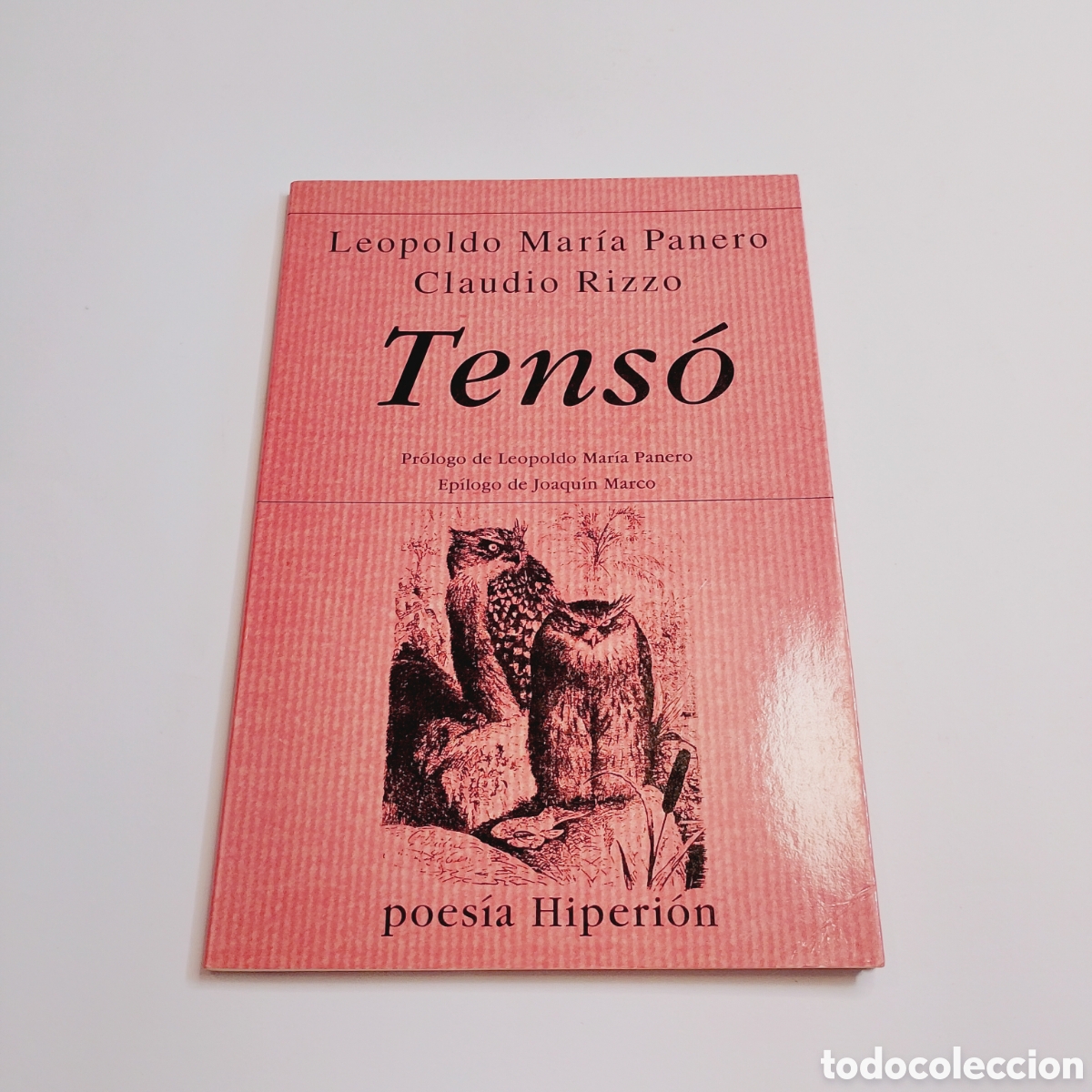 Libros de segunda mano: LEOPOLDO MAR&Iacute;A PANERO. CLAUDIO RIZZO. Tens&oacute;. Poes&iacute;a Hiperi&oacute;n. 1998.