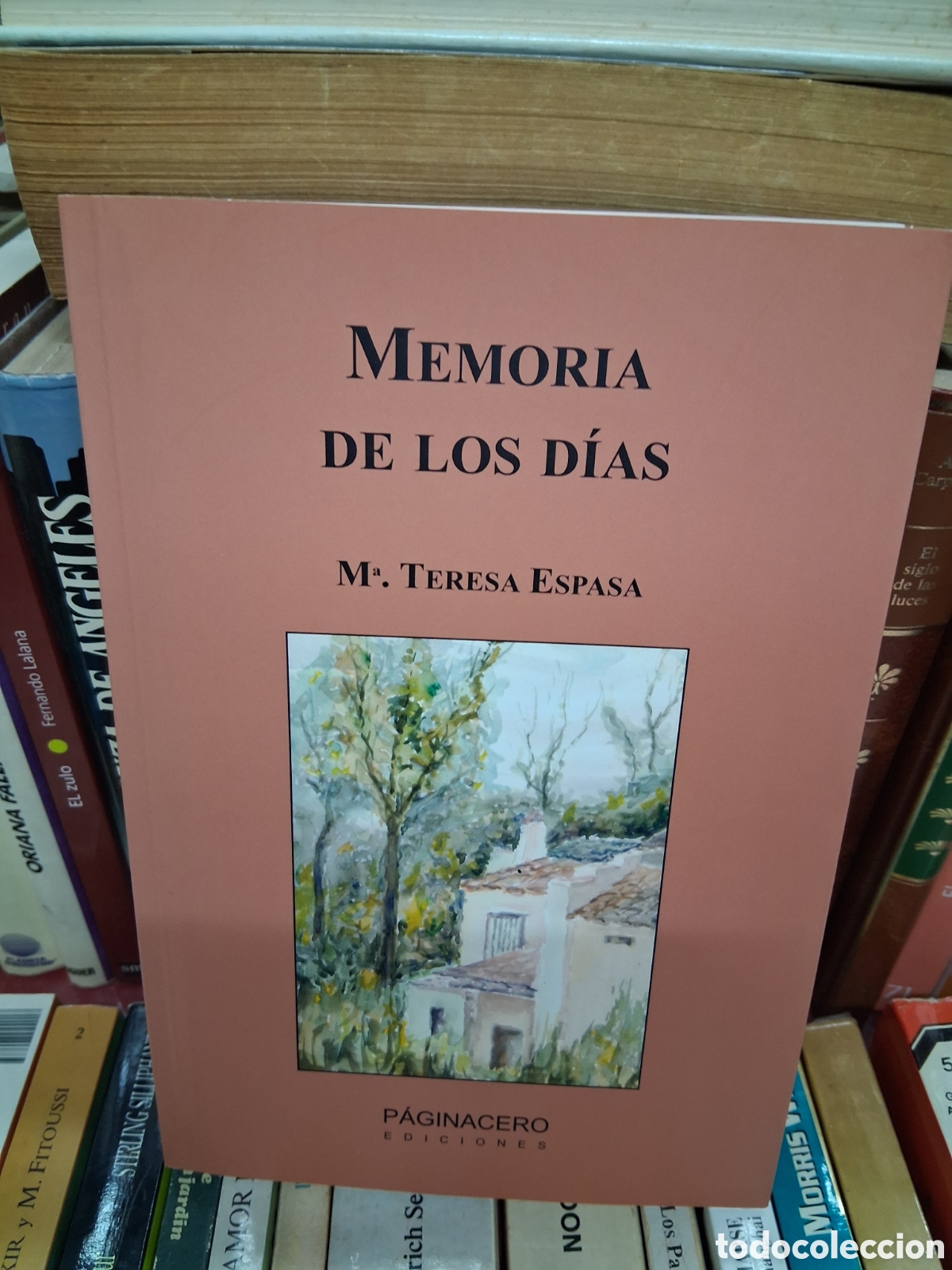 Libros de segunda mano: Memoria de los d&iacute;as - M&ordf;Teresa Espasa - Paginacero ediciones