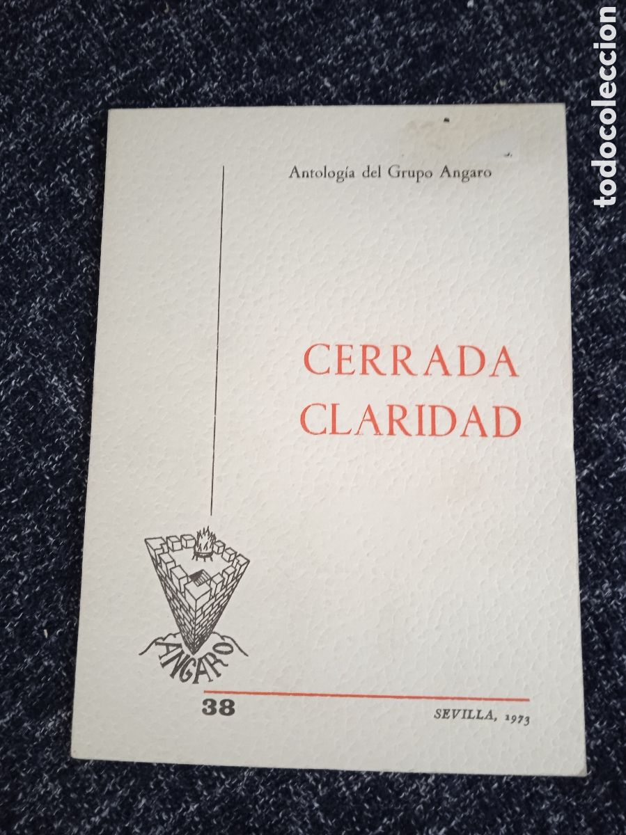 Libros de segunda mano: CERRADA CLARIDAD / ANTOLOGIA DEL GRUPO ANGARO -POESIA