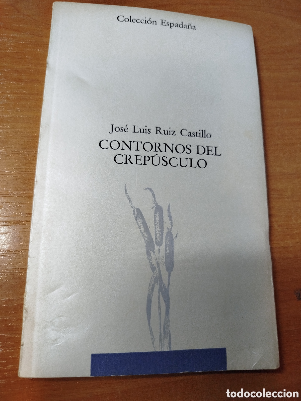 Libros de segunda mano: Contornos del crep&uacute;sculo. Jos&eacute; Luis Ruiz castillo.