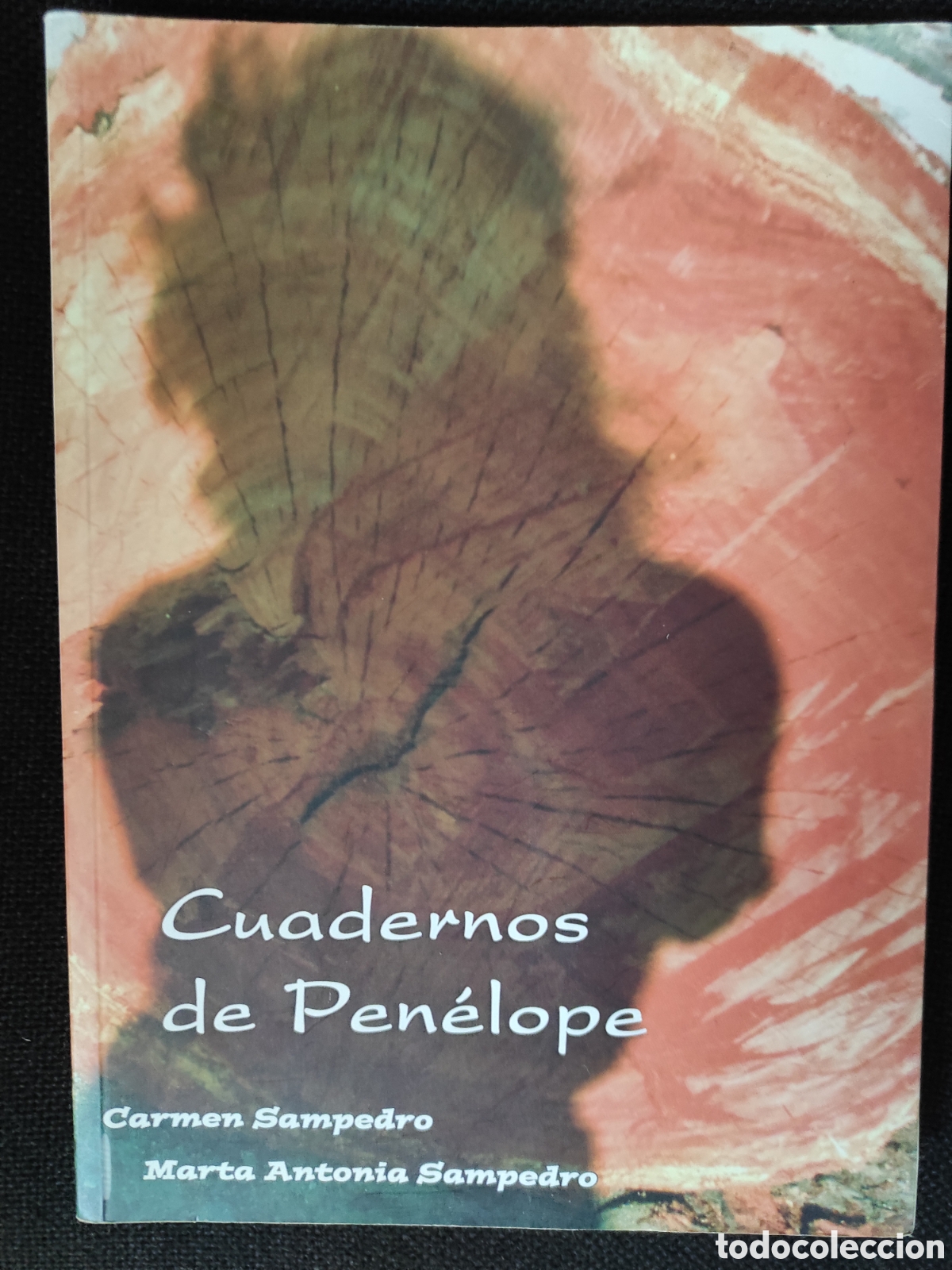 Libros de segunda mano: Libro de poes&iacute;a - Cuadernos de Pen&eacute;lope