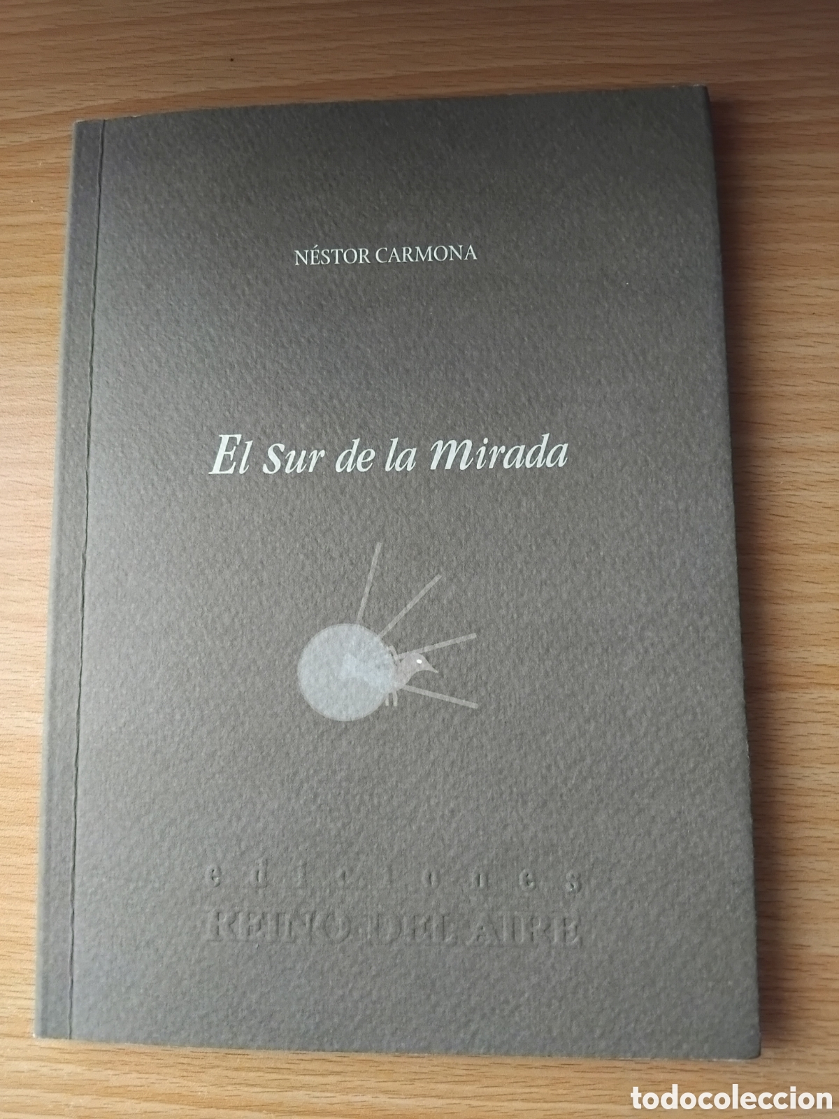 Libros de segunda mano: El sur de la mirada;N&eacute;stor Carmona;Reino del Arte;2004