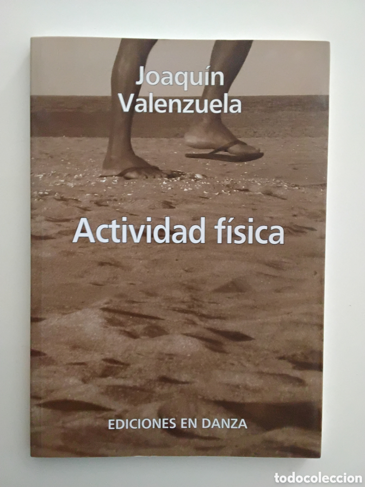 Libros de segunda mano: Actividad f&iacute;sica &mdash; Joaqu&iacute;n Valenzuela &mdash; Ediciones en Danza, 2007