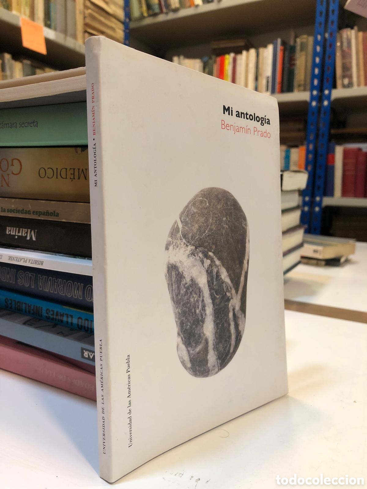 Livres d'occasion: Mi antolog&iacute;a - Benjam&iacute;n Prado