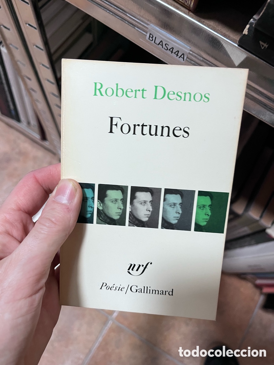 Libros de segunda mano: BLAS44A Robert Desnos Fortunes