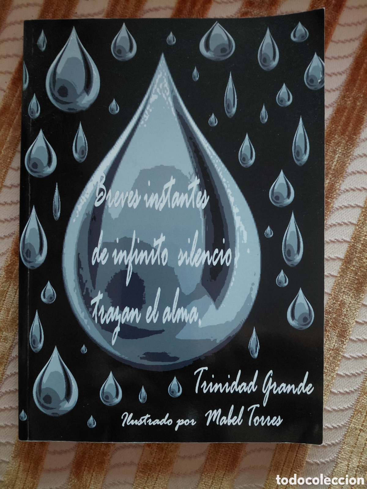 Libros de segunda mano: Breves instantes de infinito silencio trazan el alma, Trinidad Grande