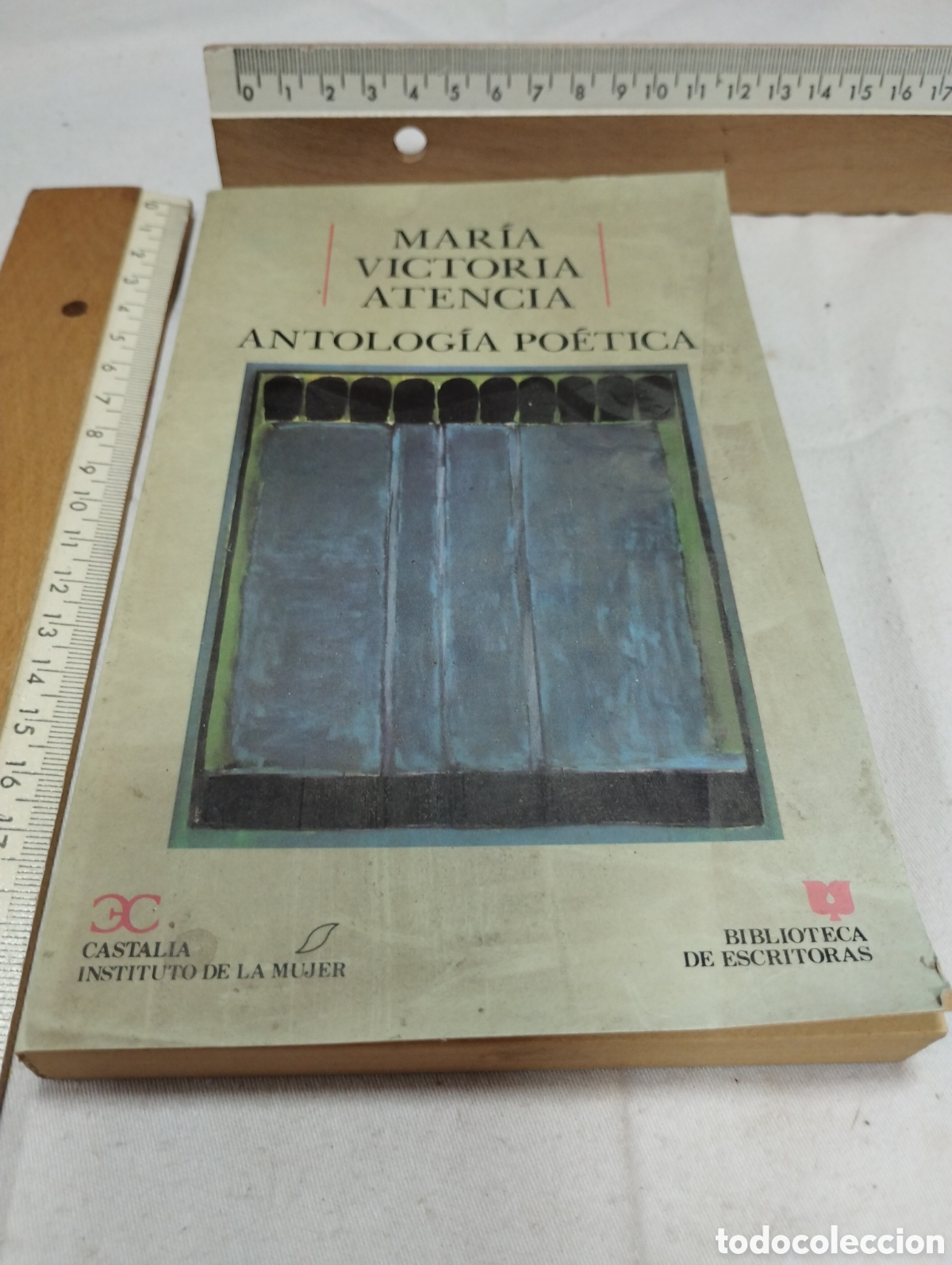 Libros de segunda mano: Antolog&iacute;a po&eacute;tica. Maria Victoria Atienza, 1990