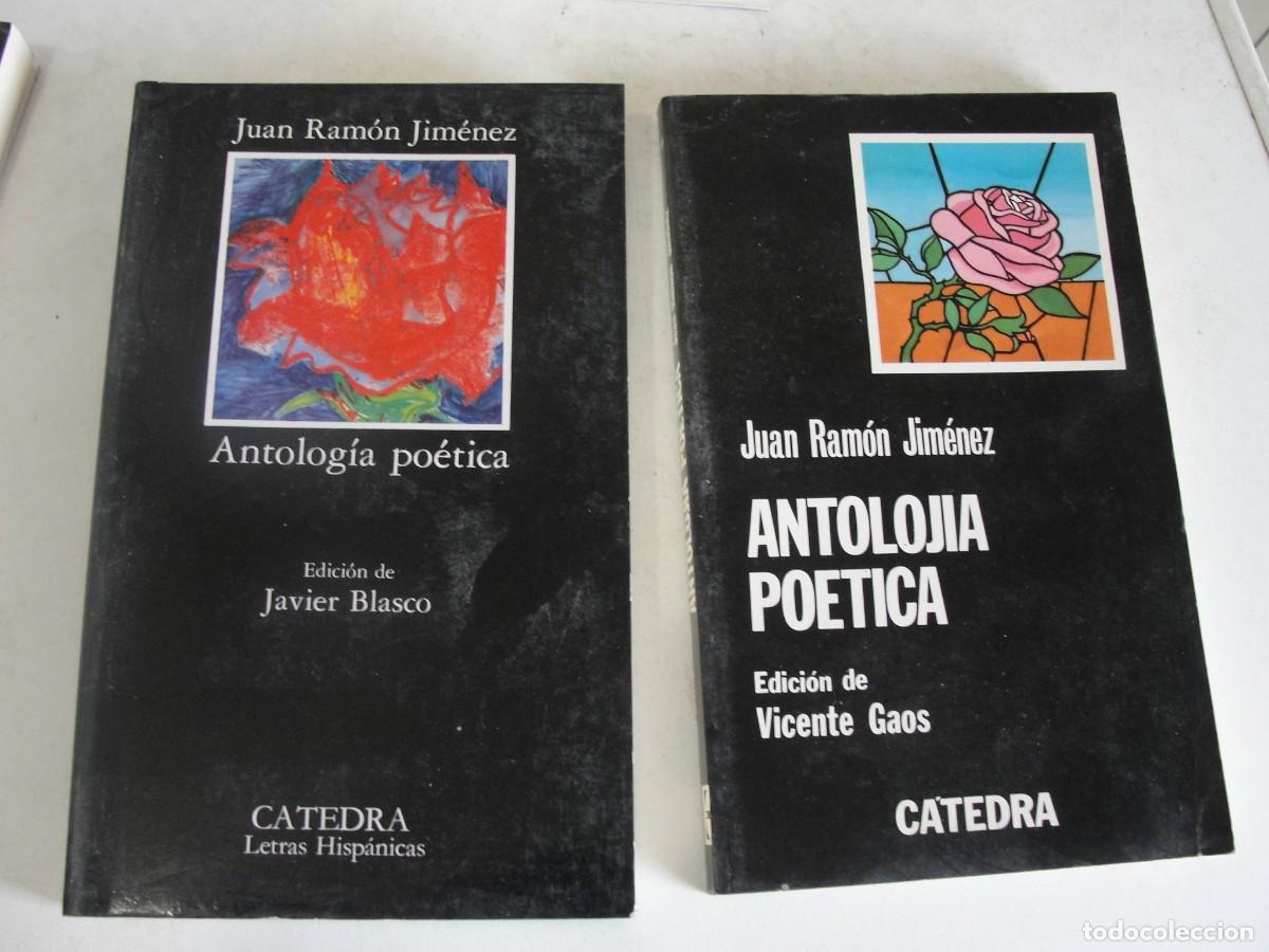 Libros de segunda mano: CATEDRA 19 DOS VERSIONES ANTOLOJIA ANTOLOGIA POETICA - JUAN RAMON - GAOS / BLASCO