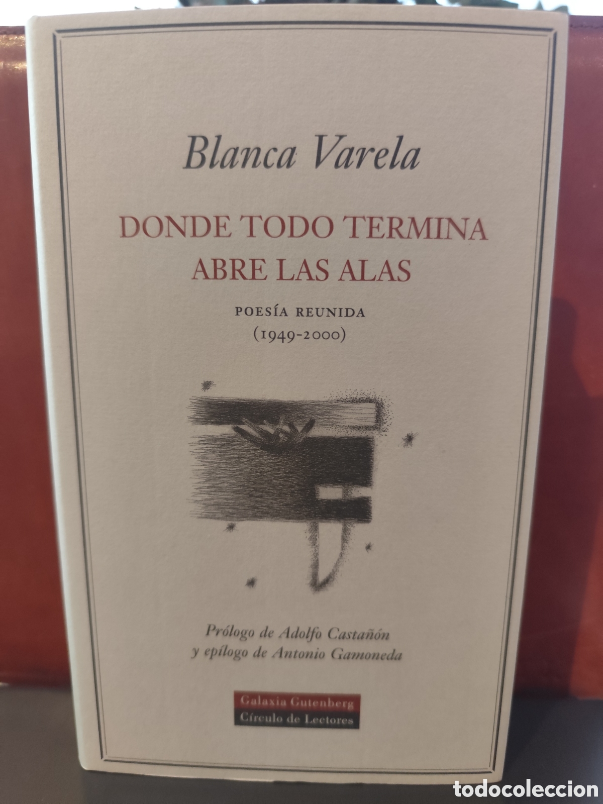 Libros de segunda mano: Donde todo termina, abre las alas. Blanca Varela