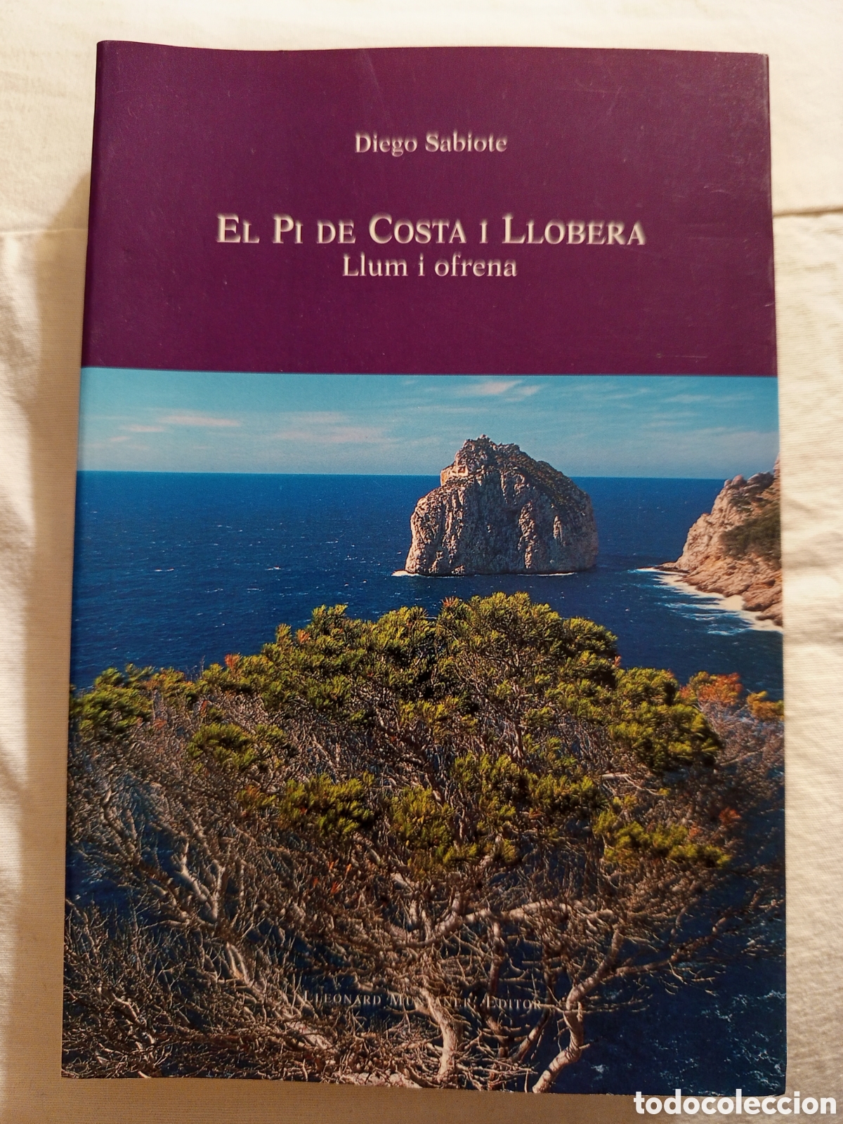 Libros de segunda mano: EL PI DE COSTA I LLOBERA. LLUM I OFRENA (DIEGO SABIOTE)