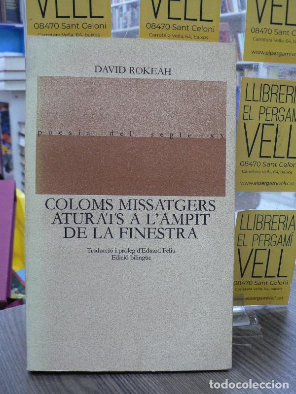 Libros de segunda mano: Coloms Missatgers Aturats a L'Ampit de la Finestra: Biling&uuml;e - Rokeah, David - Edicions del Mall