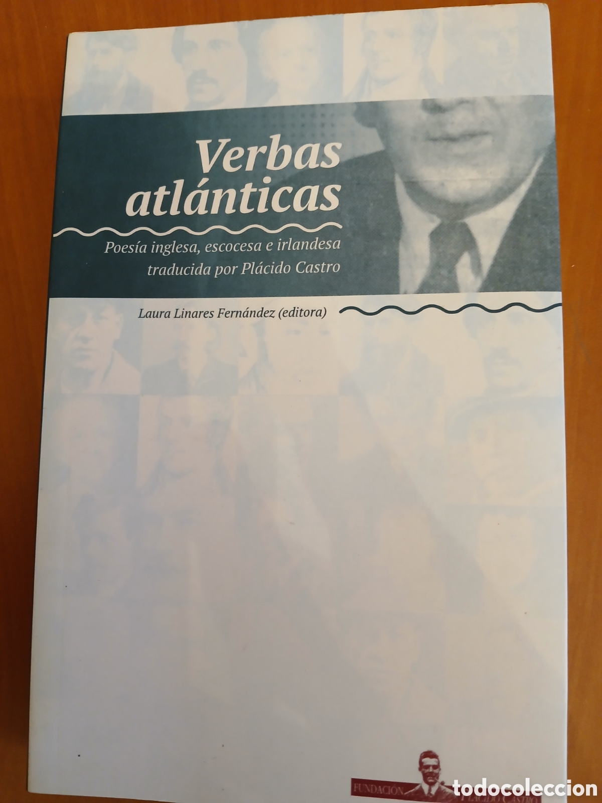 Libros de segunda mano: Verbas Atl&aacute;nticas, Poes&iacute;a inglesa, escocesa e irlandesa traducida por Pl&aacute;cido Castro. GALICIA.