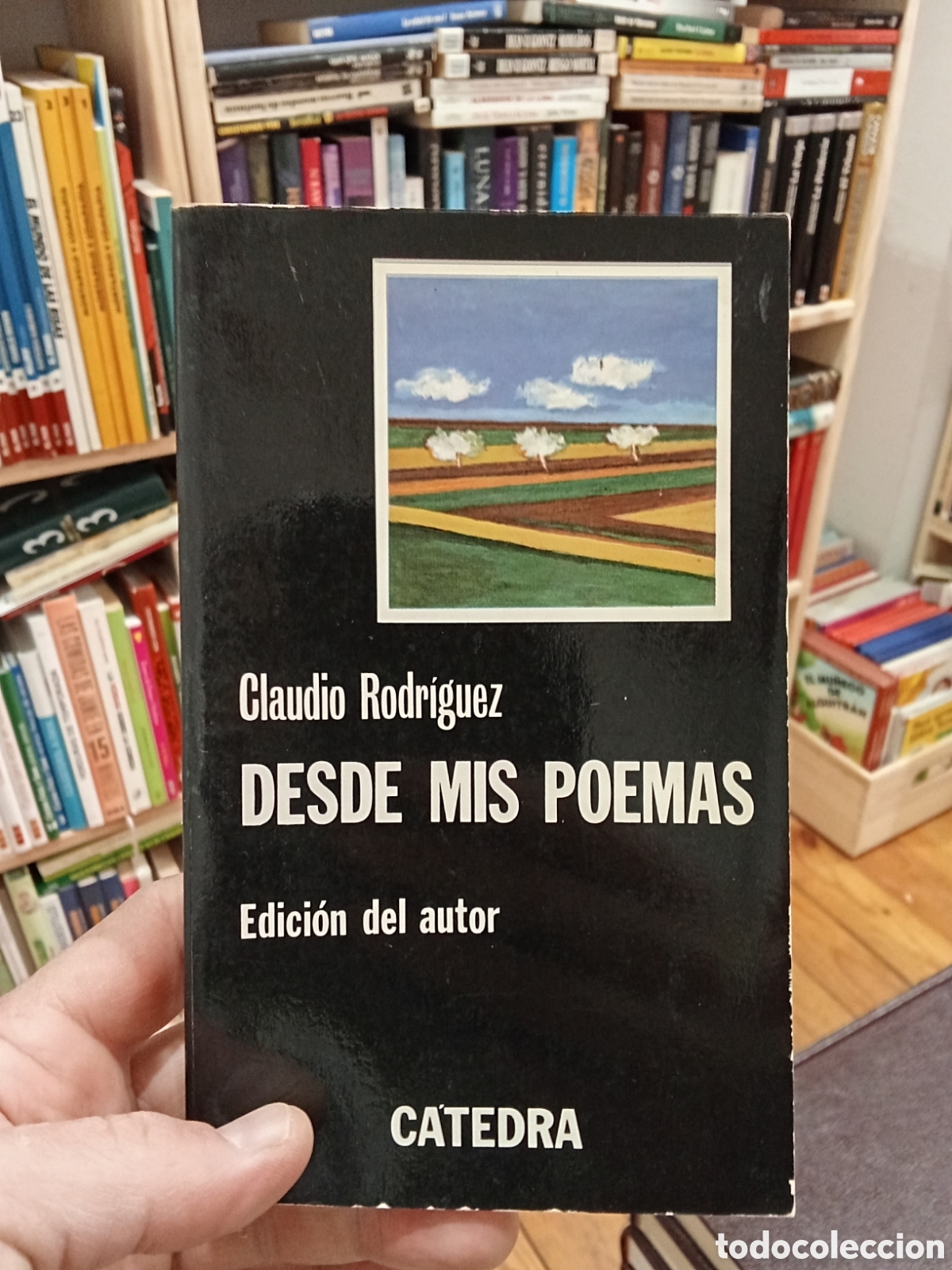 Libros de segunda mano: Desde mis poemas - Claudio Rodr&iacute;guez - C&aacute;tedra
