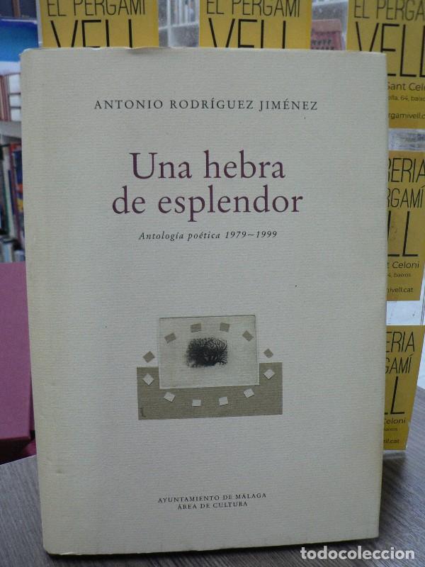 Libros de segunda mano: Una Hebra de Esplendor: Antolog&iacute;a po&eacute;tica 1979-1999 - Rodr&iacute;guez Jim&eacute;nez, Antonio - Ayuntamiento M&aacute;la