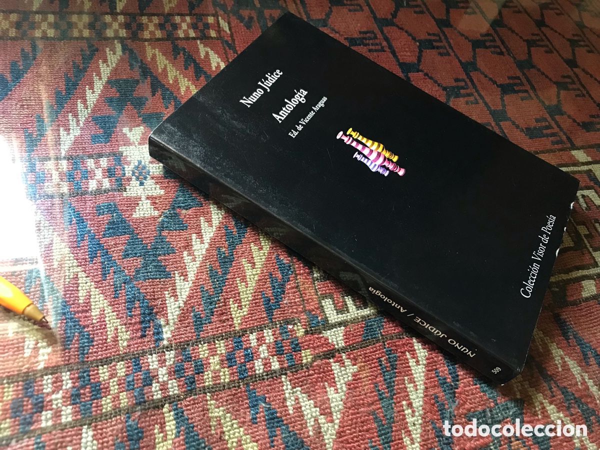 Libros de segunda mano: Nuno J&uacute;dice. Antolog&iacute;a. Colecci&oacute;n Visor de poes&iacute;a n&ordm; 509