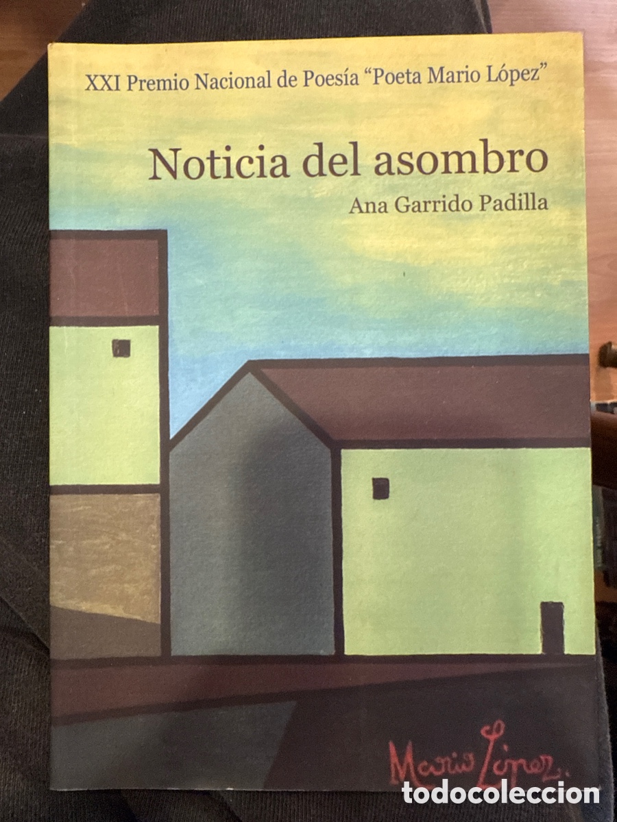 Gebrauchte B&uuml;cher: GARRIDO PADILLA, Ana. Noticia del asombro