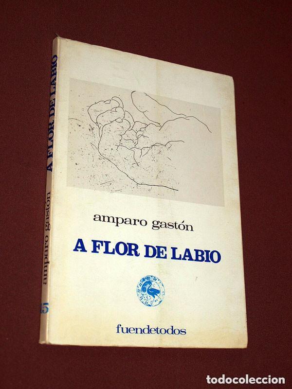 Libros de segunda mano: A FLOR DE LABIO. AMPARO GAST&Oacute;N. JAVALAMBRE, 1972. FUENDETODOS 15. EDUARDO CHILLIDA. FORMENTOR. +++