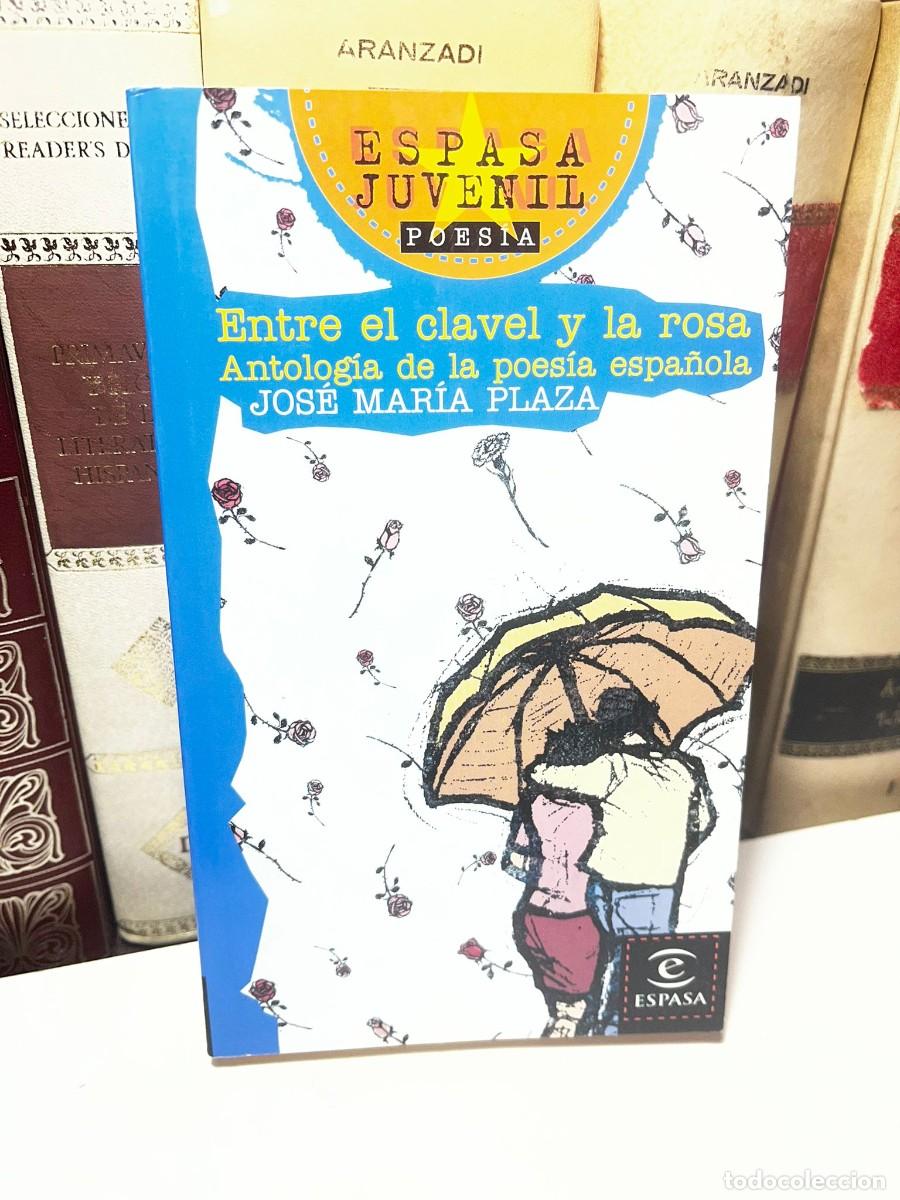 Libros de segunda mano: ENTRE EL CLAVEL Y LA ROSA, ANTOLOG&Iacute;A DE LA POES&Iacute;A ESPA&Ntilde;OLA. Jos&eacute; Mar&iacute;a Plaza. Ed. Espasa. 2001.