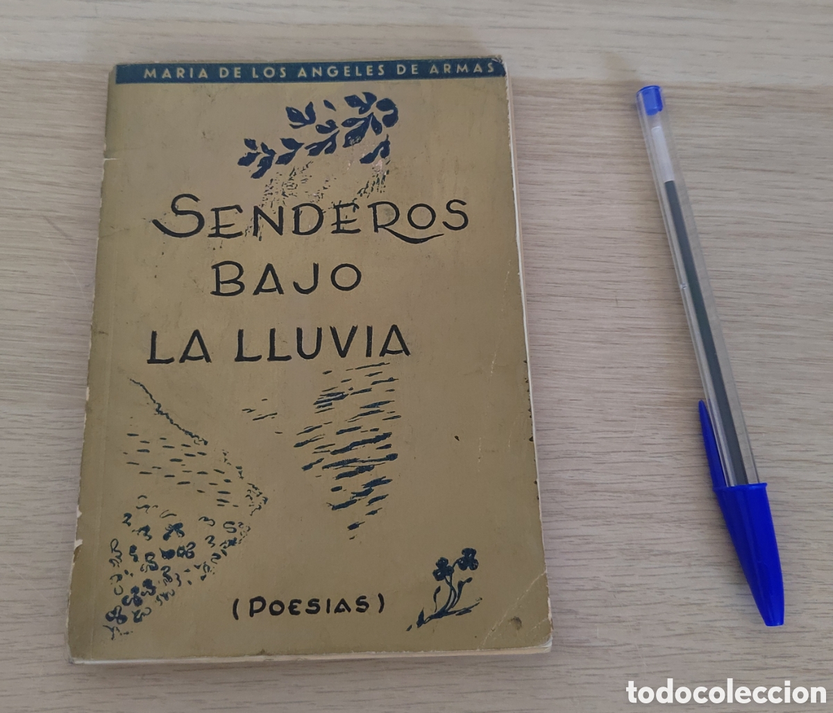 Libros de segunda mano: Senderos bajo la lluvia - Maria de los Angeles de Armas. FIRMADO y dedicado por autora