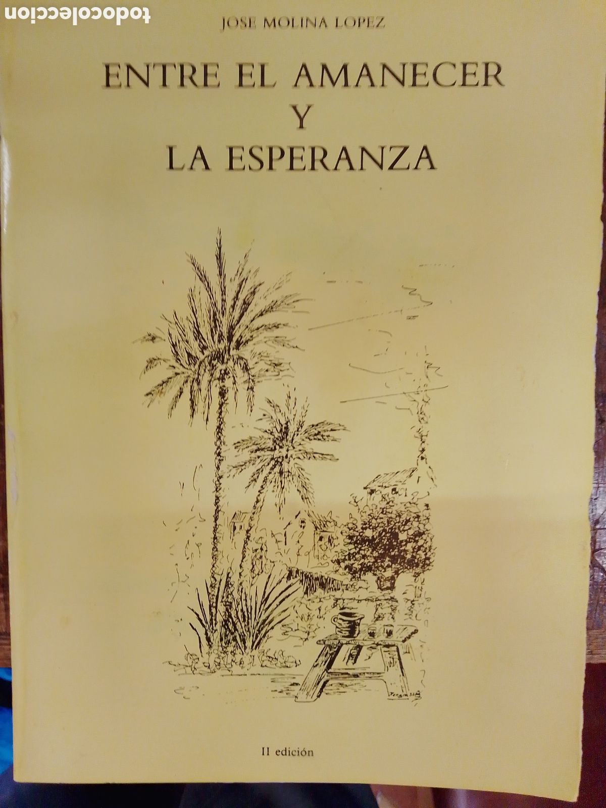 Libros de segunda mano: ENTRE EL AMANECER Y LA ESPERANZA. MOLINA LOPEZ, JOSE. GRAFISANT. 1988