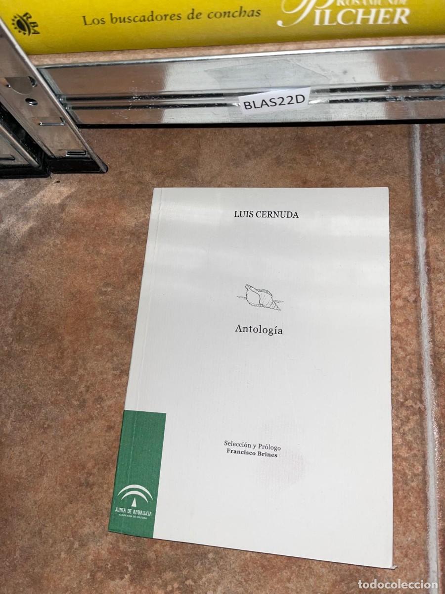 Libros de segunda mano: BLAS22D + Antolog&iacute;a + Luis Cernuda + Junta de Andaluc&iacute;a +