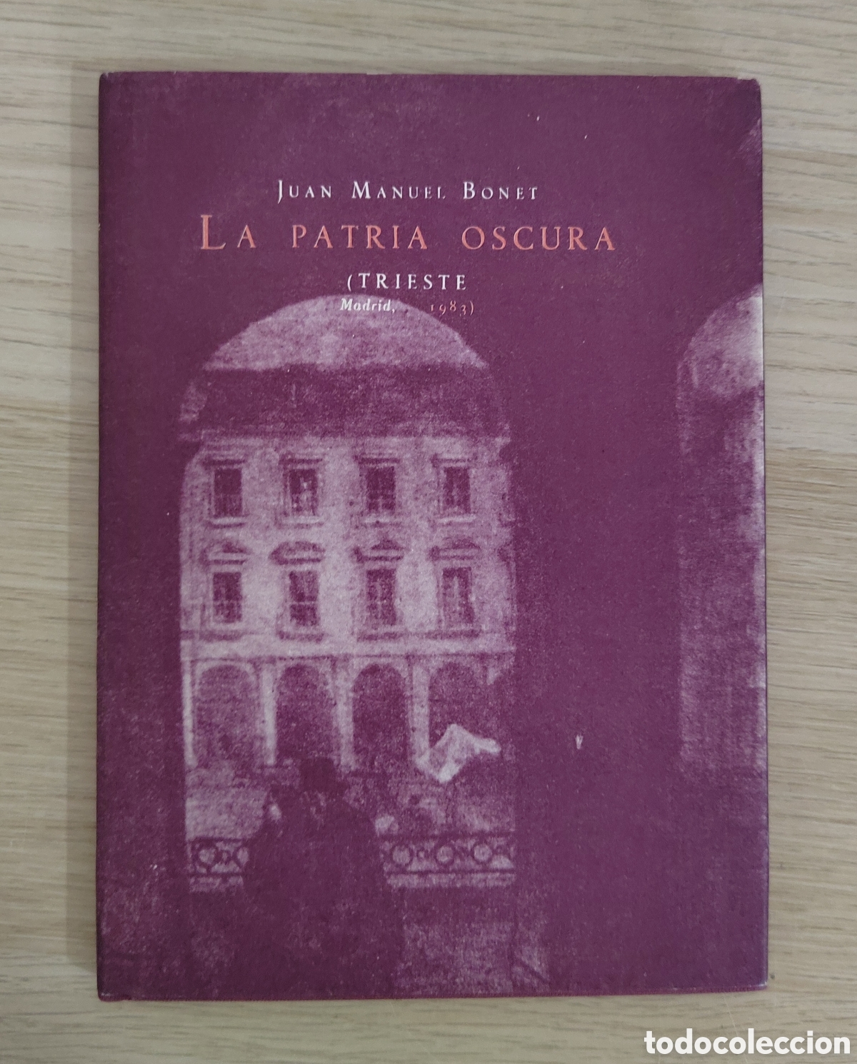 Libros de segunda mano: Juan Manuel Bonet &ndash; La patria oscura &ndash; 1&ordf; edici&oacute;n 1983 &ndash; Editorial Trieste Madrid &ndash; Tapa dura