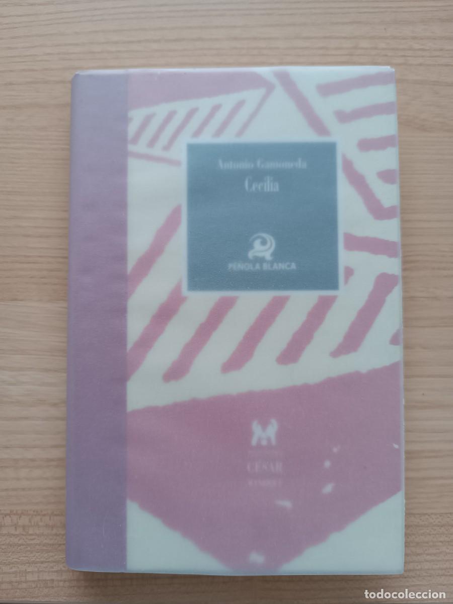 Libros de segunda mano: Cecilia - Antonio Gamoneda. Pe&ntilde;ola Blanca
