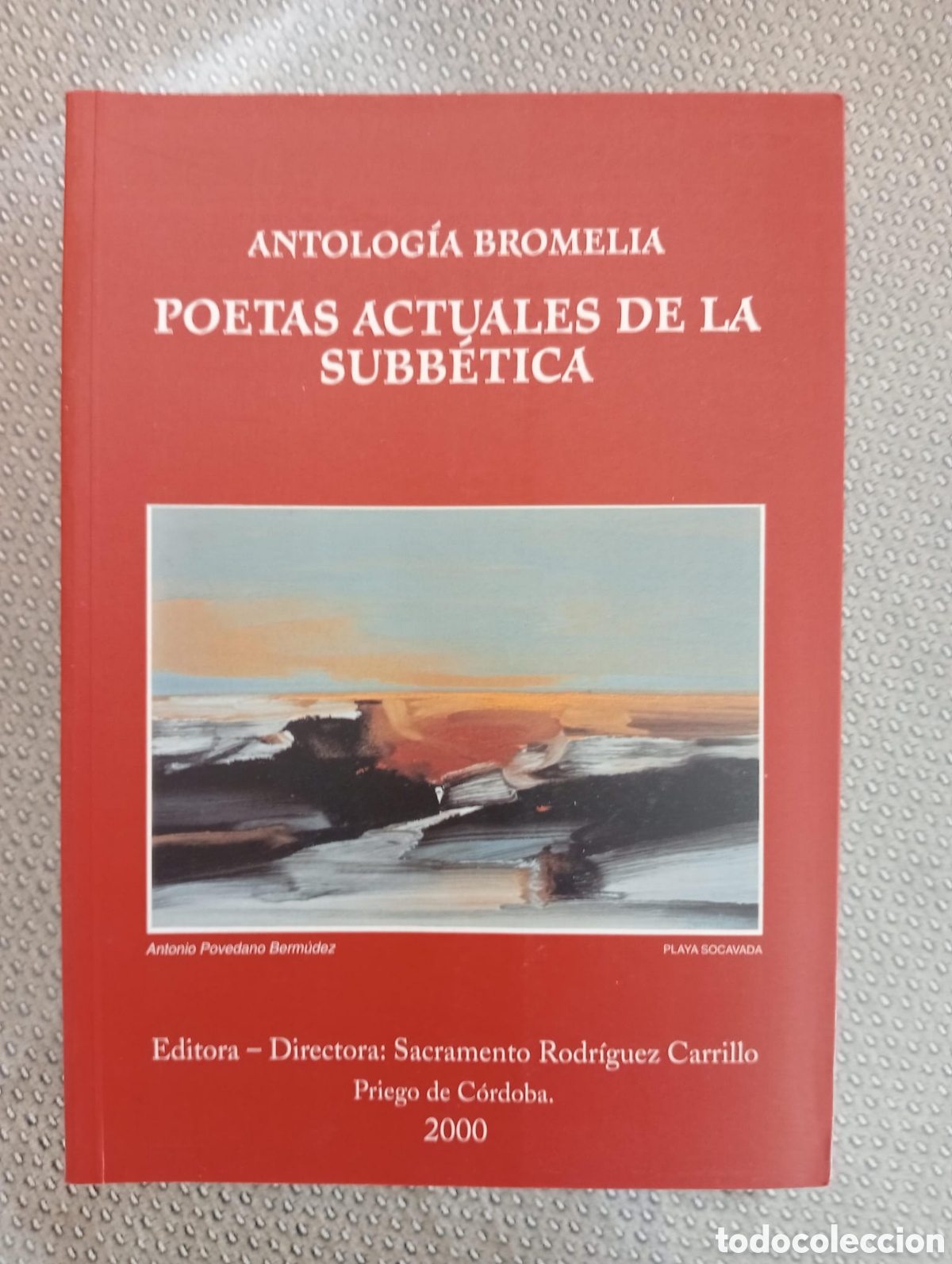 Libros de segunda mano: Poetas actuales de la subb&eacute;tica / Rodr&iacute;guez Carrillo, Sacramento. Directora