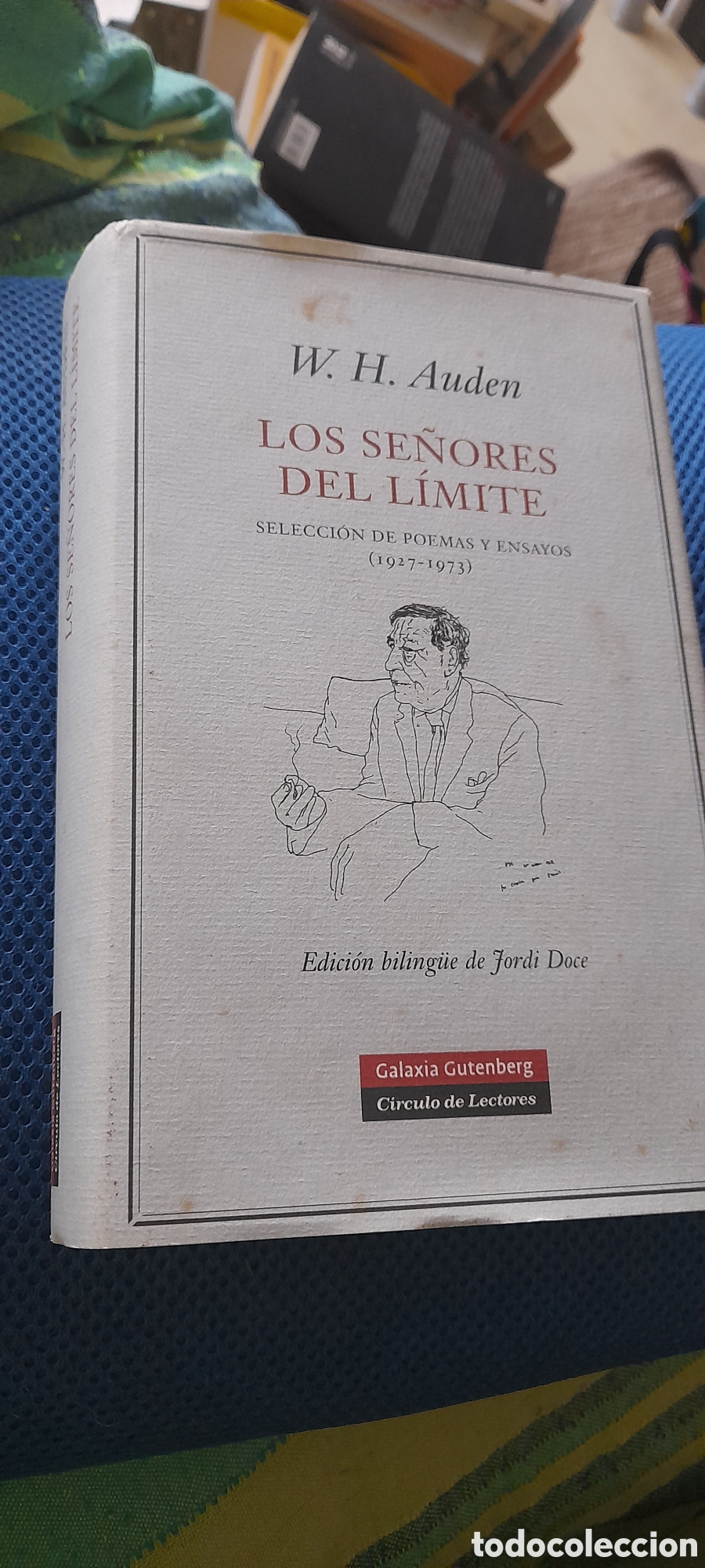 Libros de segunda mano: Los se&ntilde;ores del l&iacute;mite. W H Auden