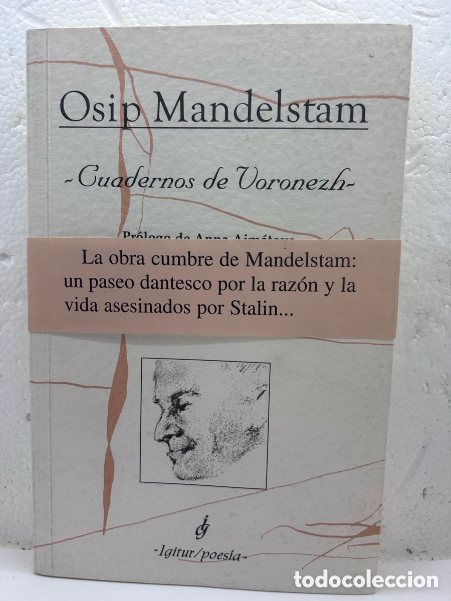 Libros de segunda mano: Odio Mandelstam . Cuadernos de Voronezh