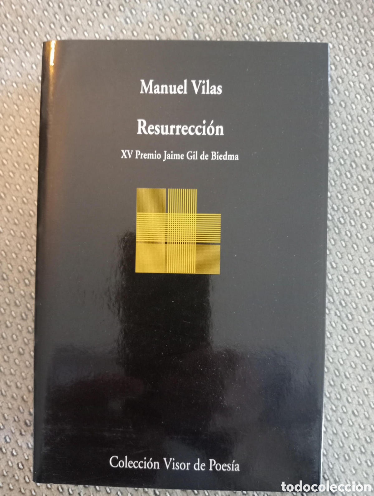 Libros de segunda mano: Manuel Vilas, Resurrecci&oacute;n. XV Premio Jaime Gil de Biedma. / Visor