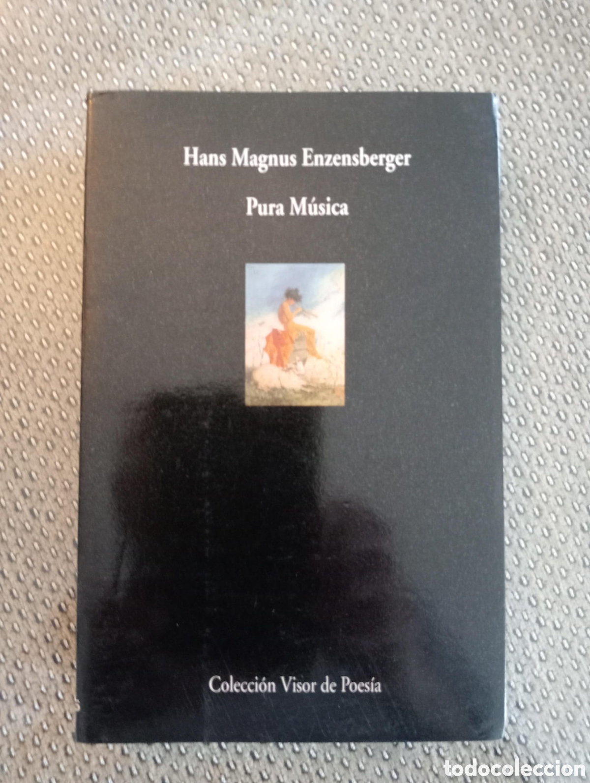 Libros de segunda mano: PURA M&Uacute;SICA / Hans Magnus Enzensberger. Visor