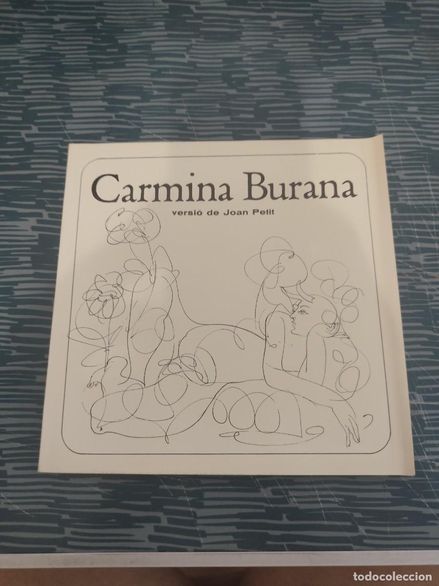 Libros de segunda mano: CARMINA BURANA,VERSIO DE JOAN PETIT, BARCELONA,49 P&Aacute;GINAS.
