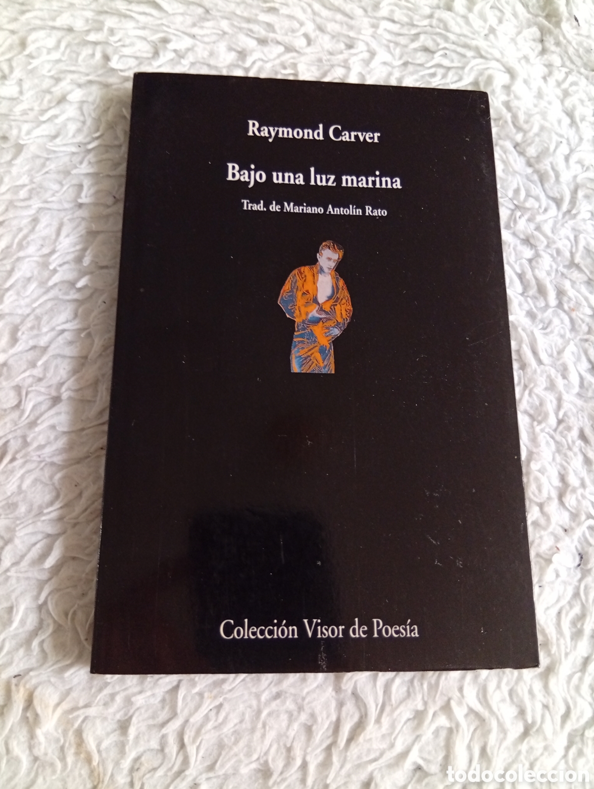 Libros de segunda mano: Bajo una luz marina. Raymond Carver