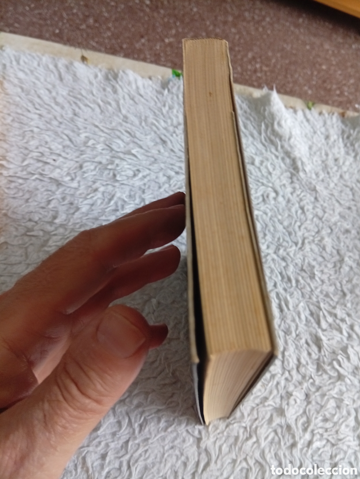 Libros de segunda mano: El ojo de la mujer. Gioconda Belli. - Foto 3