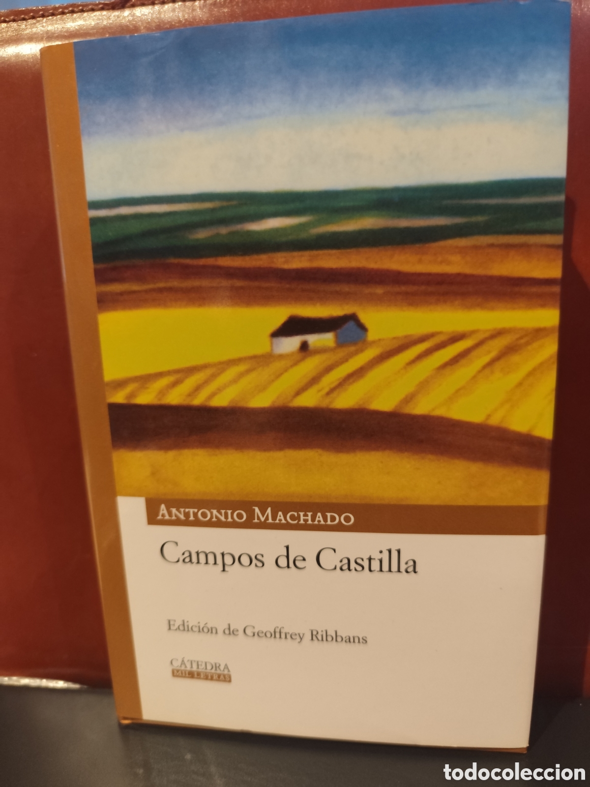 Libros de segunda mano: Campos de castilla. Antonio Machado