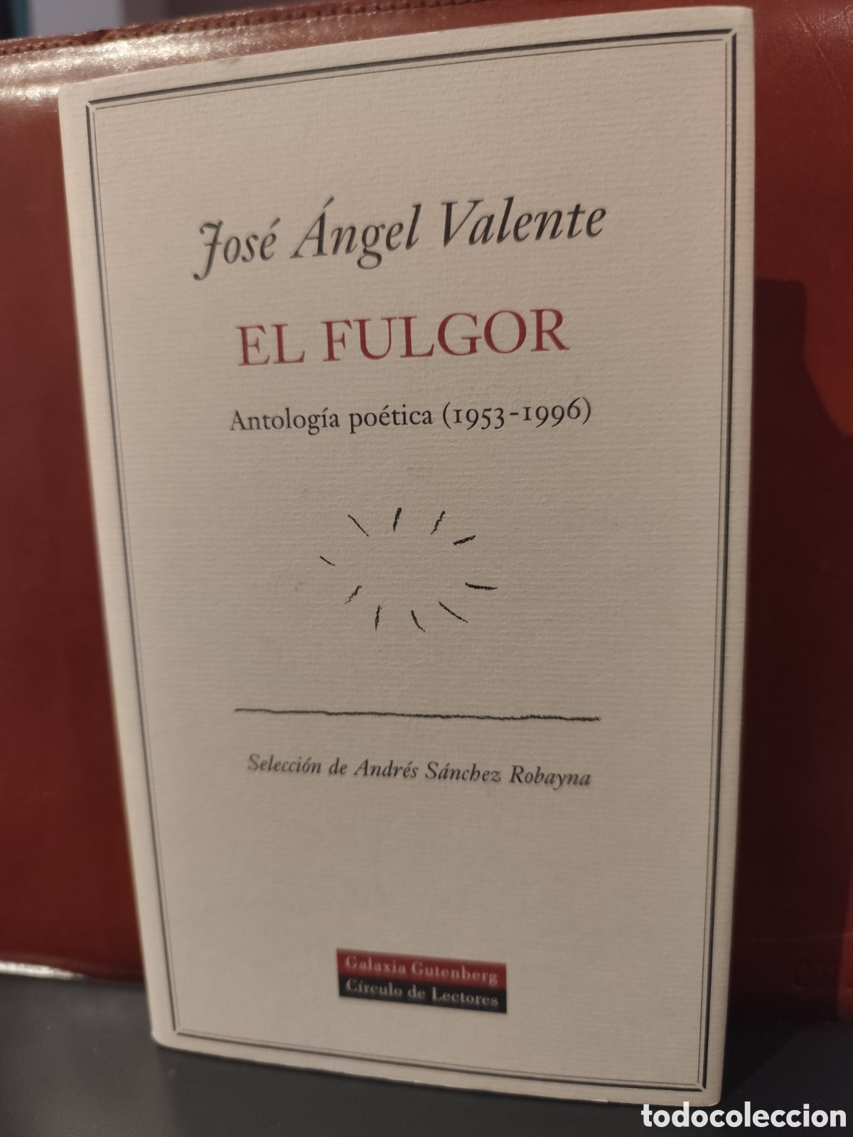 Libros de segunda mano: Jos&eacute; &Aacute;ngel Valente. El fulgor. Antolog&iacute;a po&eacute;tica 1953-1996