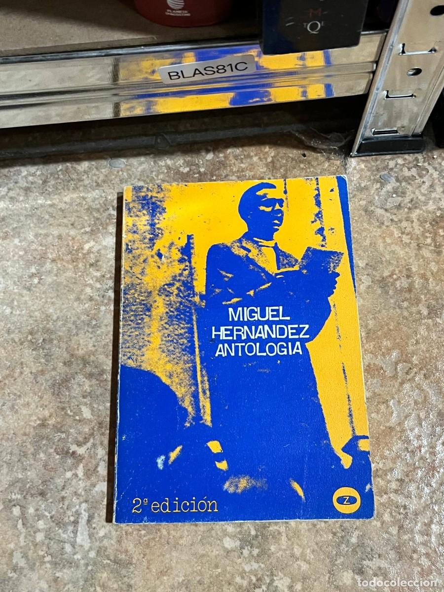 Libros de segunda mano: BLAS81C &mdash; Miguel Hern&aacute;ndez. Antolog&iacute;a (2.&ordf; edici&oacute;n) &mdash; Miguel Hern&aacute;ndez.