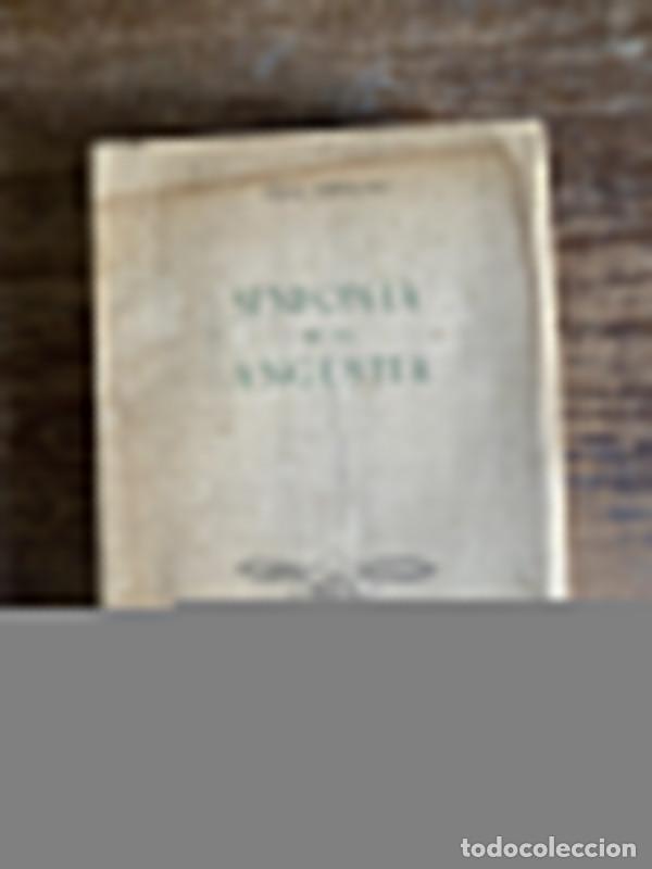 Libros de segunda mano: Sinfonia de la Angustia - Corvalan Stella