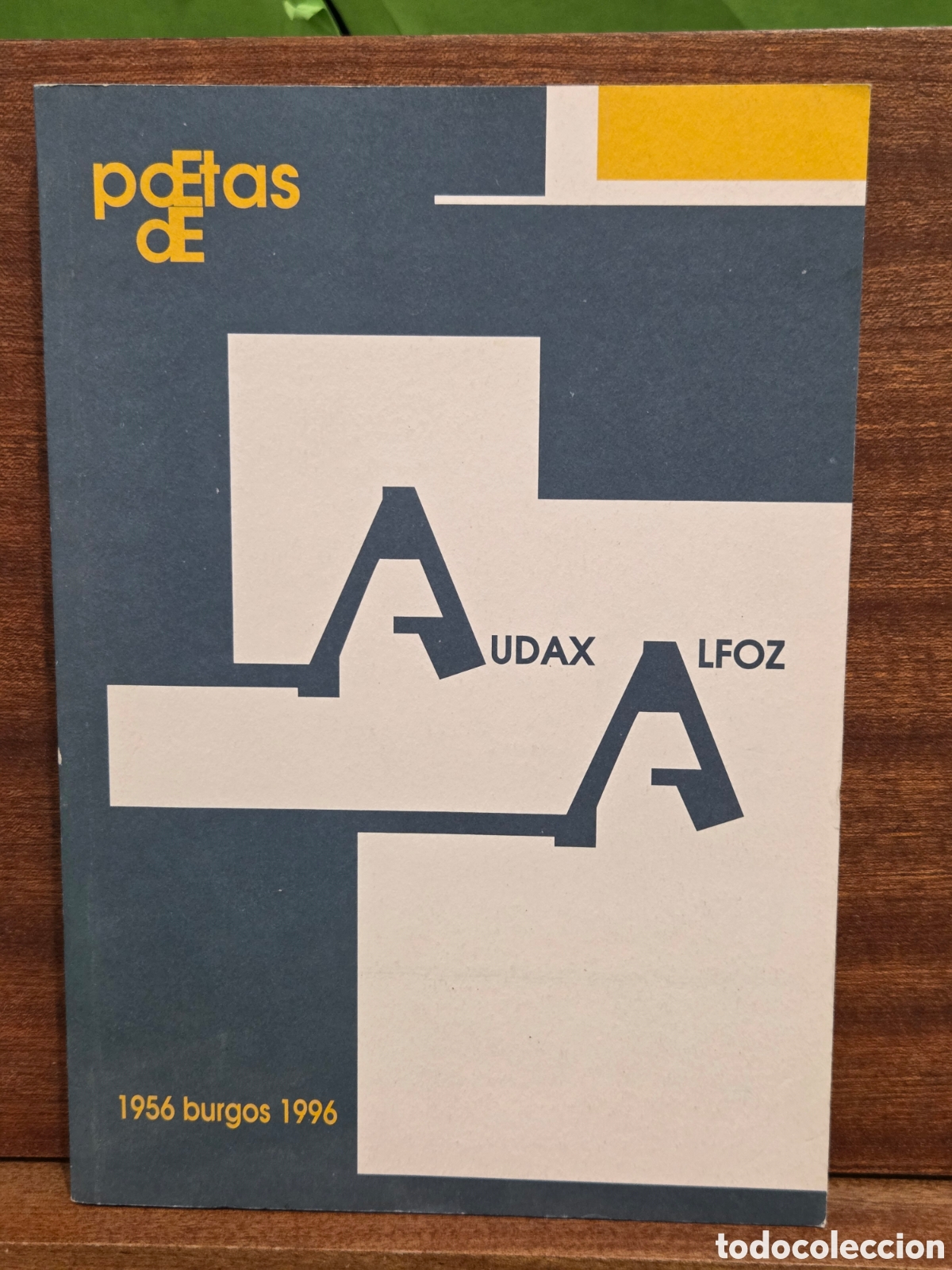 Libros de segunda mano: &rdquo;&rdquo;POETAS DE AUDAX ALFOZ&rdquo;&rdquo;...BURGOS...1956-1996...SALVADOR PUY, GRACIANO PERAITA, C. FR&Uacute;HBECK Y M&Aacute;S..